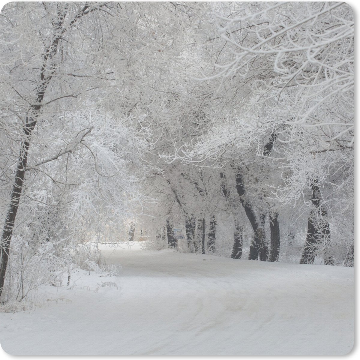 Muismat 30x30 cm - Mousepad Bomen - Sneeuw - Winter - Muismatten