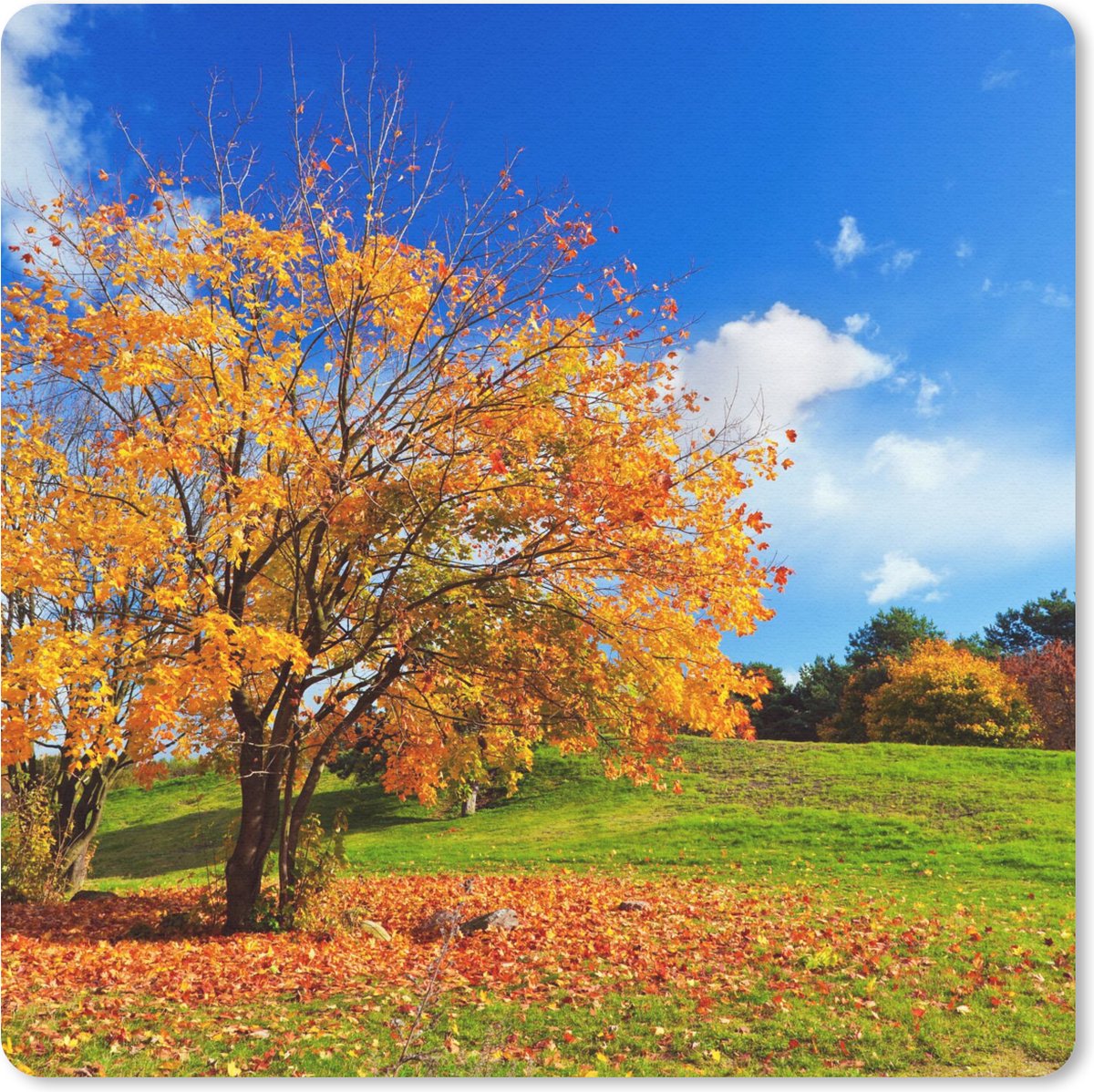 Muismat 30x30 cm - Mousepad Boom - Bladeren - Herfst - Seizoenen - Muismatten