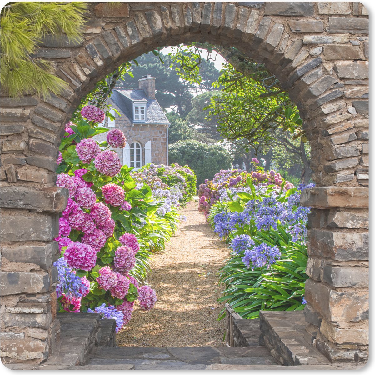 Muismat 30x30 cm - Mousepad Bloemen - Doorkijk - Hortensia - Zomer - Muismatten