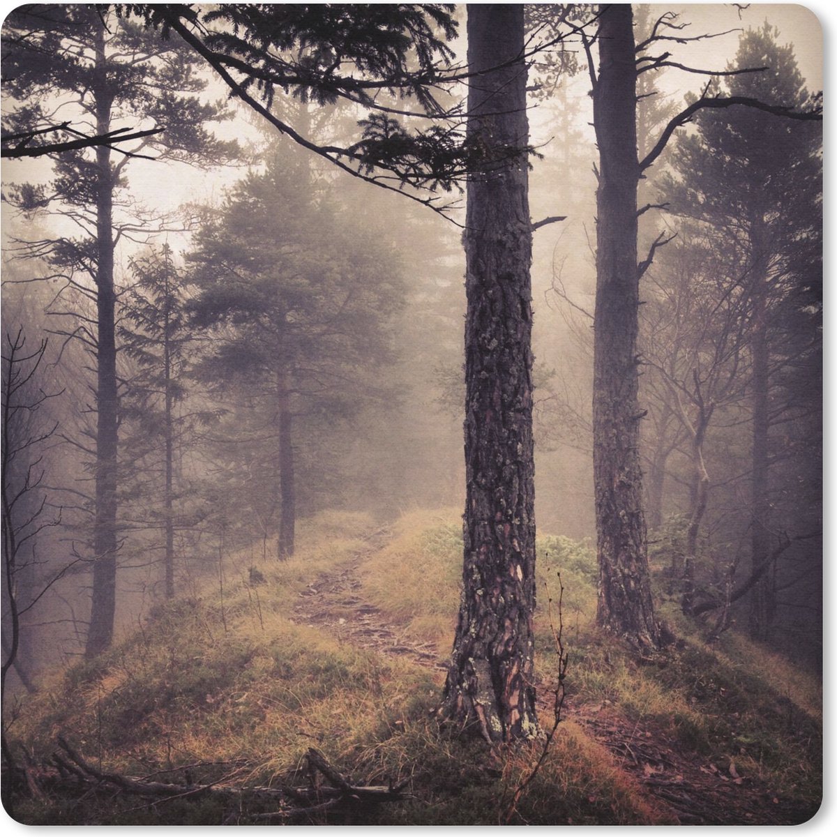 Muismat 20x20 cm - Mousepad Mist - Herfst decoratie - Natuur - Bos - Muismatten