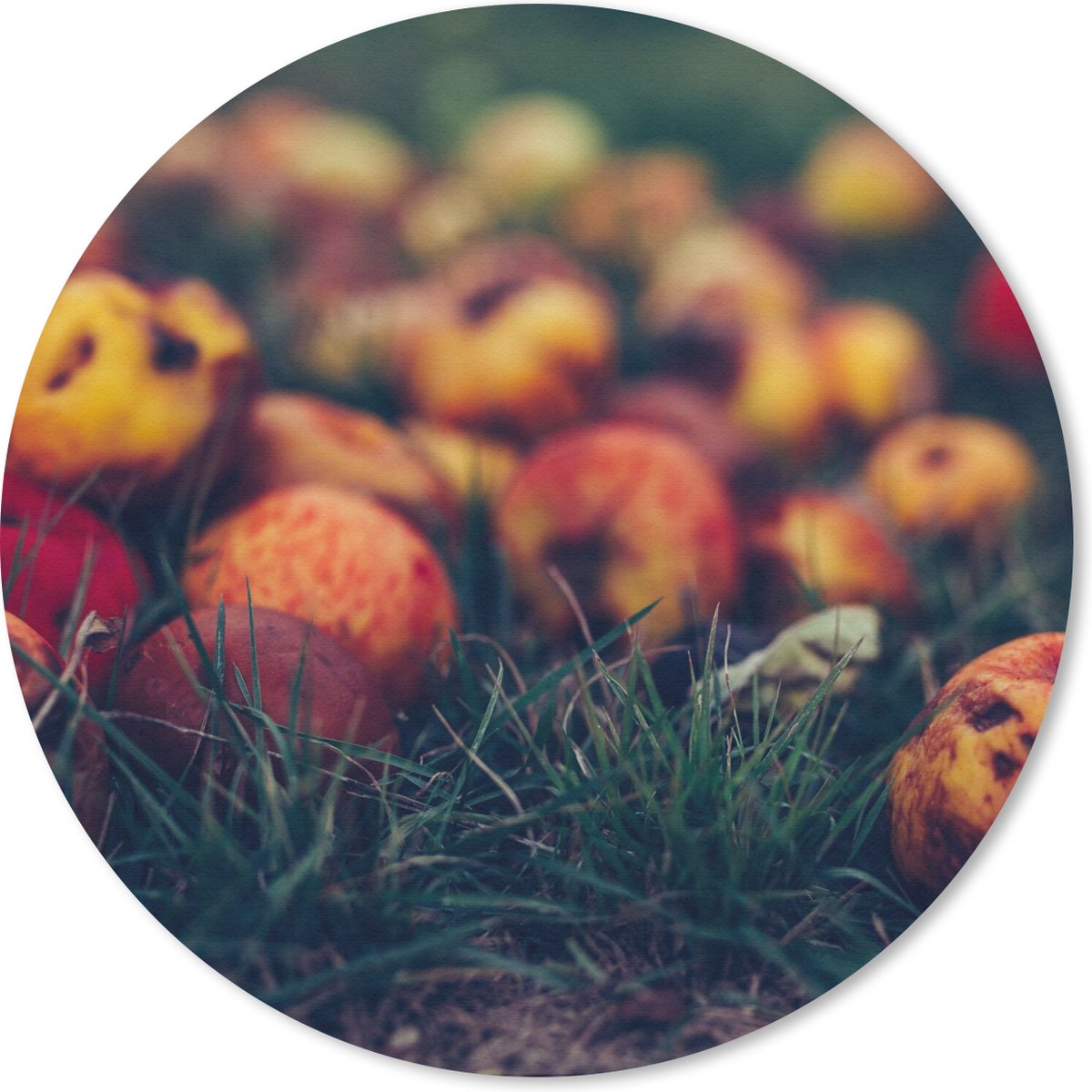 Muismat - Mousepad - Rond - Landelijke decoratie - Herfst - Appel - Fruit - 40x40 cm - Ronde muismat