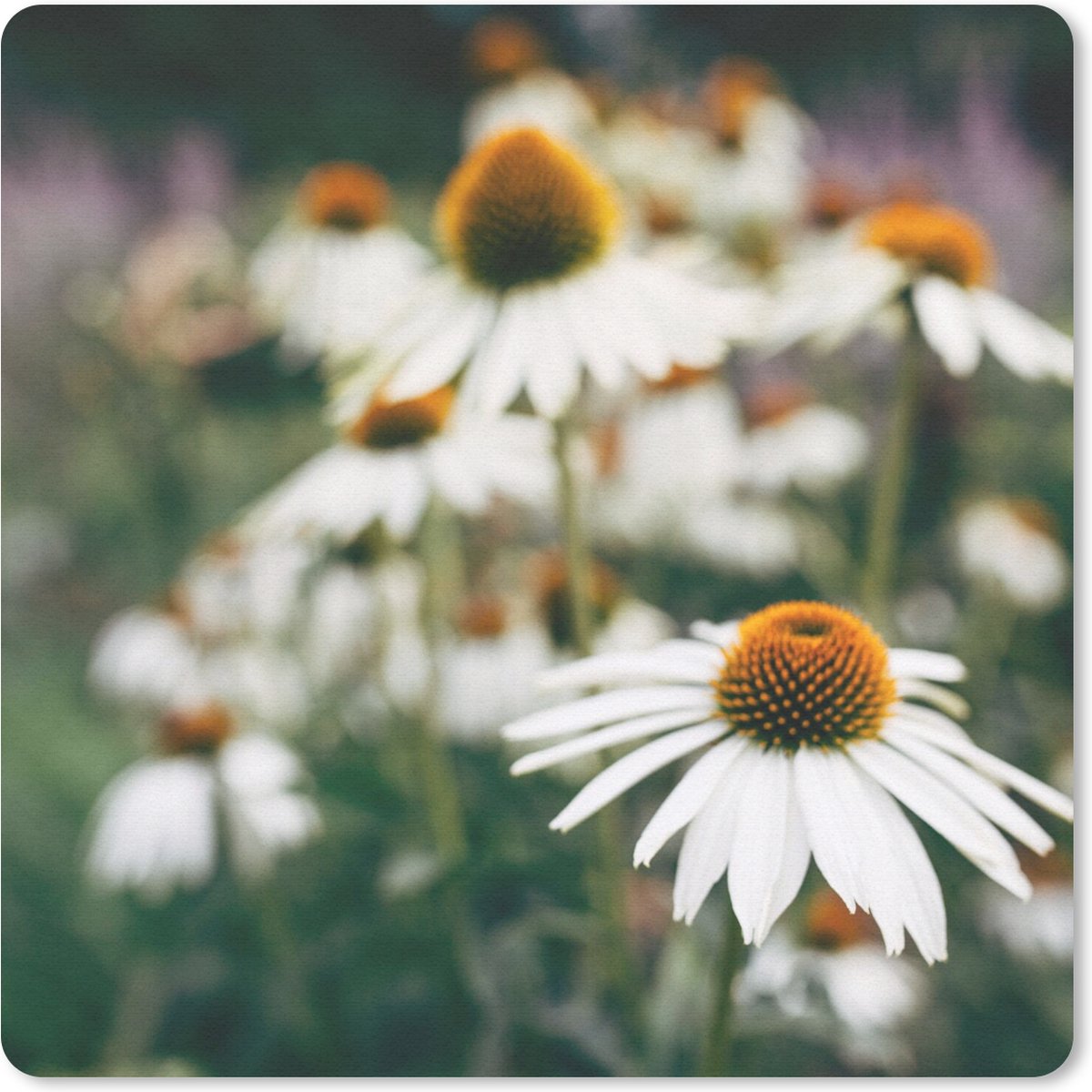 Muismat 30x30 cm - Mousepad Bloemen - Herfst - Botanisch - Muismatten