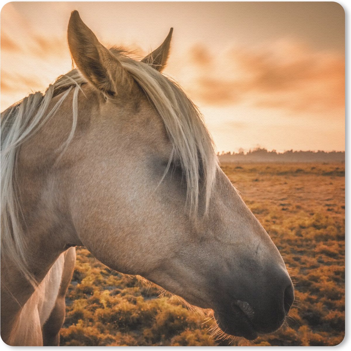 Muismat 30x30 cm - Mousepad Paard - Dieren - Portret - Muismatten