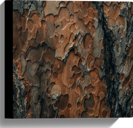WallClassics - Canvas  - Bruin/zwarte Boomschors - 30x30 cm Foto op Canvas Schilderij (Wanddecoratie op Canvas)