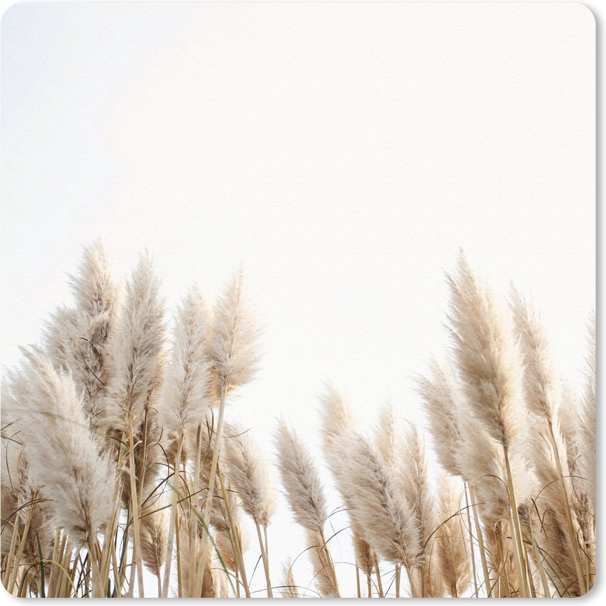 Muismat 30x30 cm - Mousepad Graan - Lucht - Pastel - Muismatten