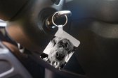 Sleutelhanger - Schotse Hooglander - Zwart - Wit - Dieren - Uitdeelcadeautjes - Plastic