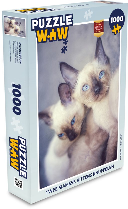 bezig brandwonden Ontwijken Puzzel Twee siamese kittens knuffelen - Legpuzzel - Puzzel 1000 stukjes  volwassenen | bol.com