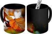 Magische Mok - Foto op Warmte Mokken - Koffiemok - Beuk - Herfst - Bladeren - Magic Mok - Beker - 350 ML - Theemok