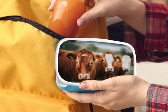 Lunchbox Blauw - Lunchbox - Boîte à pain - Vaches - Herbe - Clôture - 18x12x6 cm - Enfants - Garçon