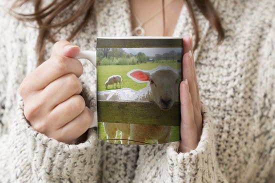 Mok - Koffiemok - Schapen - Dieren - Boerderij - Mokken - 350 ML - Beker - Koffiemokken - Theemok