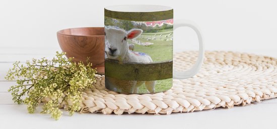 Mok - Koffiemok - Schapen - Dieren - Boerderij - Mokken - 350 ML - Beker - Koffiemokken - Theemok