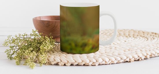 Mug - Mug à Café - Animaux Sauvages - Herbe - Léopard - Nature - Mugs - 350 ML - Tasse - Mugs à Café - Mug à Thé