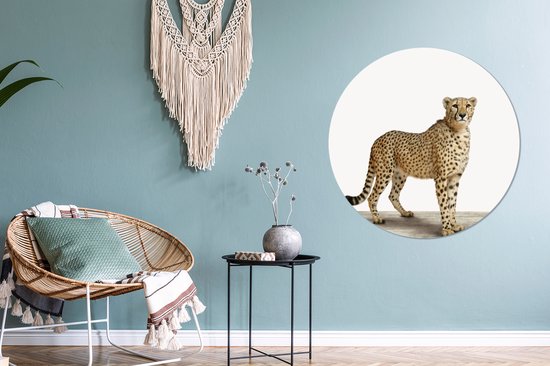 Cheetah Animal Print Nursery Wall Circle Assiette en plastique ⌀ 90 cm - impression photo sur cercle mural / cercle vivant (décoration murale)