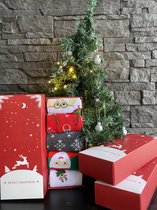 Kerstsokken – Vrouw – Foute Kerstsokken Vrouwen - Cadeauverpakking / Giftbox - 5 paar - Maat 36-40