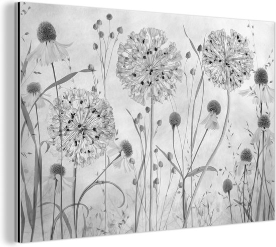 Wanddecoratie Metaal - Aluminium Schilderij - Natuur - Stilleven - Zwart - Wit