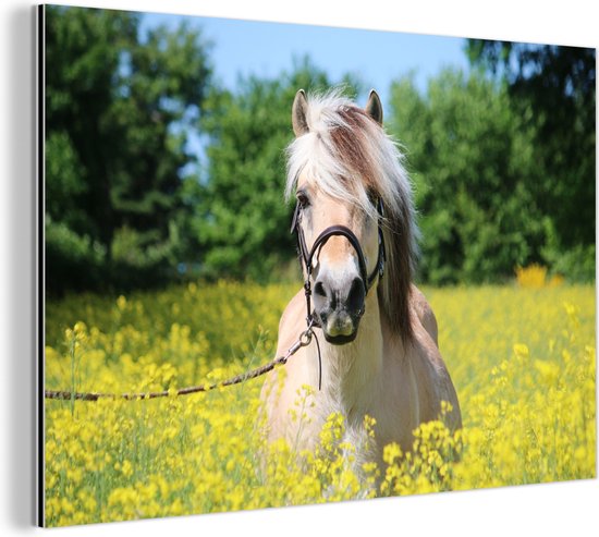 Décoration murale Métal - Peinture Aluminium Industriel - Cheval - Fleurs - Jaune - 60x40 cm - Dibond - Photo sur aluminium - Décoration murale industrielle - Pour le salon/chambre