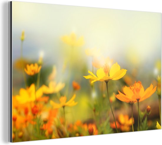 Décoration murale Métal - Aluminium Peinture Industrielle - Fleurs - Paysage - Jaune - 60x40 cm - Dibond - Photo sur aluminium - Décoration murale industrielle - Pour le salon / chambre