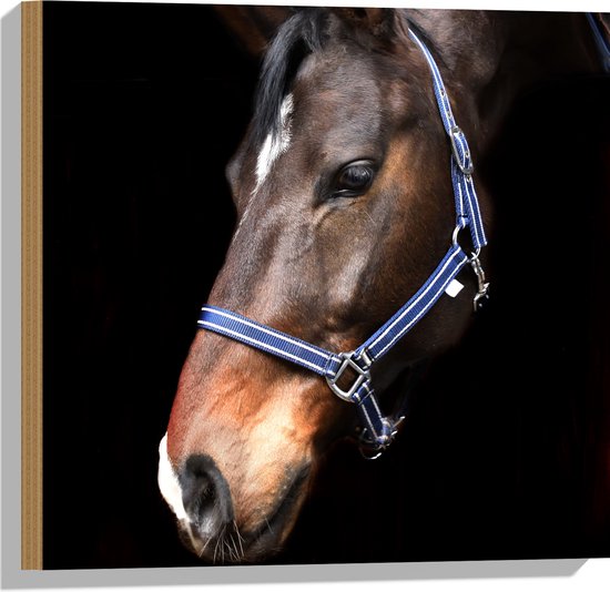 WallClassics - Hout - Paardenhoofd met Zwarte Achtergrond - 50x50 cm - 12 mm dik - Foto op Hout (Met Ophangsysteem)