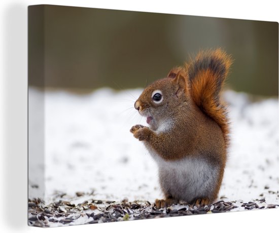 Canvas Schilderijen - Een eekhoorn die recht staat op in de winter - Wanddecoratie