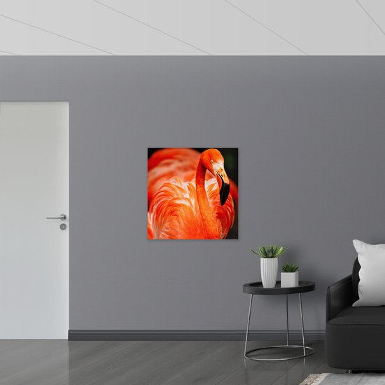 WallClassics - Poster (Mat) - Flamingo rouge - Photo 80x80 cm sur papier poster aspect mat
