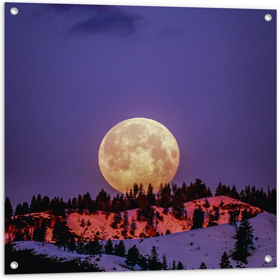 WallClassics - Tuinposter – Grote Volle Maan boven SneeuwBerg - 80x80 cm Foto op Tuinposter  (wanddecoratie voor buiten en binnen)