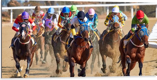 WallClassics - Dibond - Paarden Race - 100x50 cm Foto op Aluminium (Met Ophangsysteem)