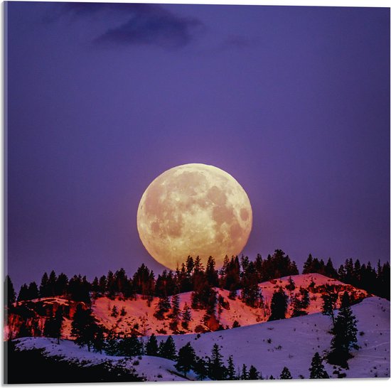 WallClassics - Acrylglas - Grote Volle Maan boven SneeuwBerg - 50x50 cm Foto op Acrylglas (Met Ophangsysteem)