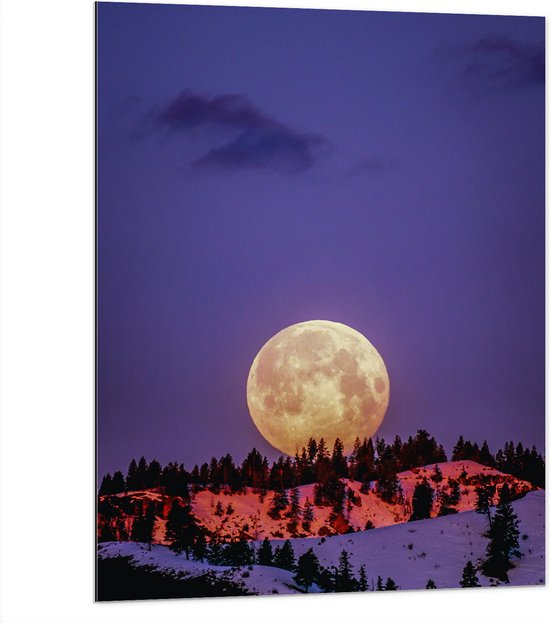 WallClassics - Dibond - Grote Volle Maan boven SneeuwBerg - 75x100 cm Foto op Aluminium (Wanddecoratie van metaal)