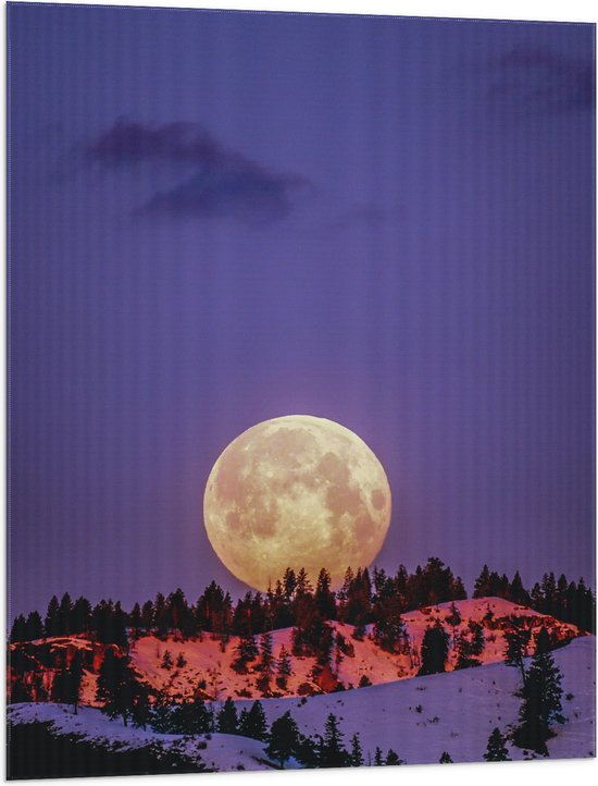 WallClassics - Vlag - Grote Volle Maan boven SneeuwBerg - 75x100 cm Foto op Polyester Vlag