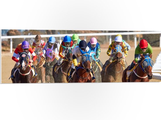 WallClassics - PVC Schuimplaat- Paarden Race - 90x30 cm Foto op PVC Schuimplaat