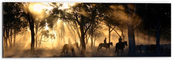 WallClassics - Dibond - Groepje Paarden in Bos verlicht door Zon - 60x20 cm Foto op Aluminium (Wanddecoratie van metaal)