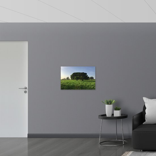 WallClassics - Hout - Grote Groene Bomen - 75x50 cm - 12 mm dik - Foto op  Hout (Met... | bol.com