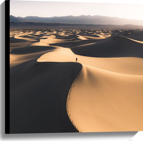 WallClassics - Canvas  - Heuvels in Zachte Woestijn - 60x60 cm Foto op Canvas Schilderij (Wanddecoratie op Canvas)