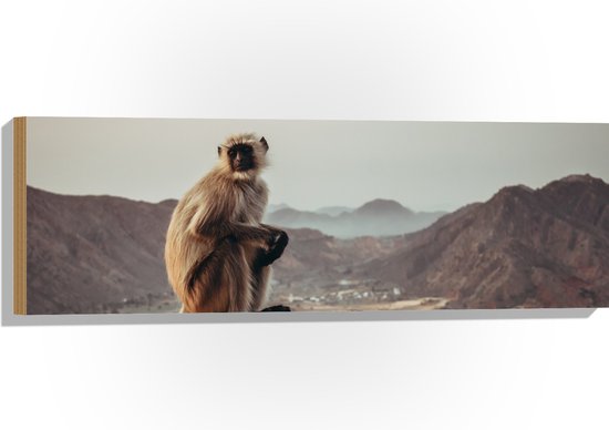 WallClassics - Hout - Langoeren Aap op een Rots - 90x30 cm - 12 mm dik ...