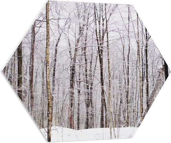 WallClassics - PVC Schuimplaat Hexagon  - Besneeuwde Hoge Bomen - 70x60.9 cm Foto op Hexagon (Met Ophangsysteem)