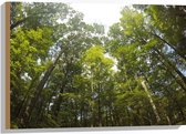 WallClassics - Hout - Boomtoppen - 75x50 cm - 12 mm dik - Foto op Hout (Met Ophangsysteem)