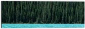 WallClassics - Dibond - Blauw Meer aan Groene Bosrand - 60x20 cm Foto op Aluminium (Met Ophangsysteem)