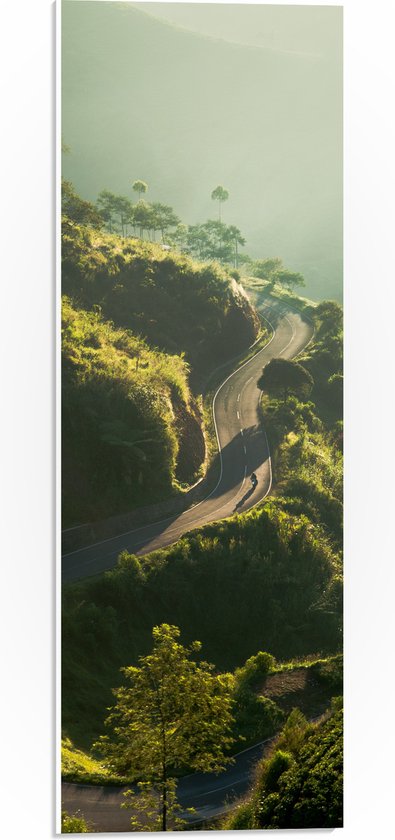 WallClassics - Plaque de Mousse PVC - Voiture sur Route Étroite à Groene Berg - Photo 20x60 cm sur Plaque de Mousse PVC (Avec Système de Suspension)