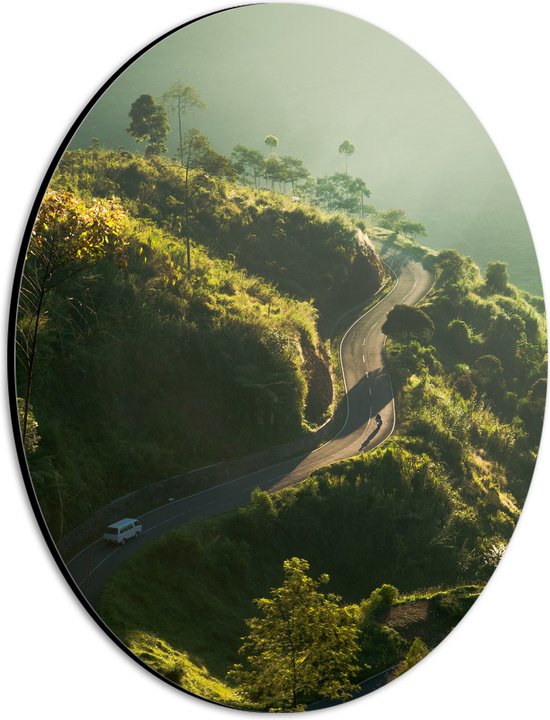 WallClassics - Dibond Ovaal - Auto op Smalle weg bij Groene Berg - 21x28 cm Foto op Ovaal (Met Ophangsysteem)