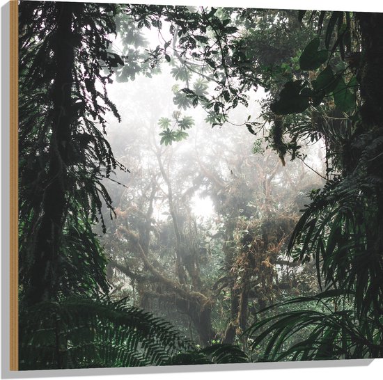 WallClassics - Hout - Begroeiing in Regenwoud - 80x80 cm - 12 mm dik - Foto op Hout (Met Ophangsysteem)