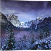 WallClassics - Vlag - Besneeuwde Bergen met Bomen en Rotsen - 50x50 cm Foto op Polyester Vlag