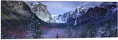 WallClassics - Vlag - Besneeuwde Bergen met Bomen en Rotsen - 120x40 cm Foto op Polyester Vlag