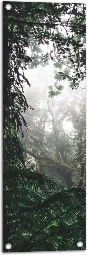 WallClassics - Tuinposter – Begroeiing in Regenwoud - 30x90 cm Foto op Tuinposter  (wanddecoratie voor buiten en binnen)