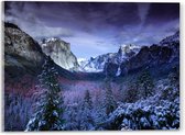 WallClassics - Acrylglas - Besneeuwde Bergen met Bomen en Rotsen - 40x30 cm Foto op Acrylglas (Met Ophangsysteem)