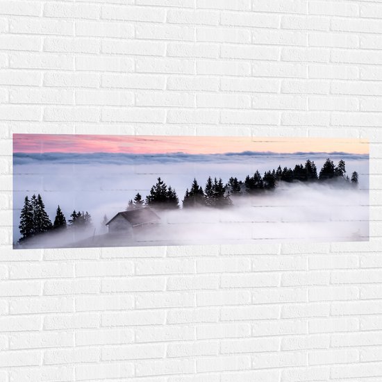 WallClassics - Muursticker - Boomtoppen boven Mistlaag - 150x50 cm Foto op Muursticker