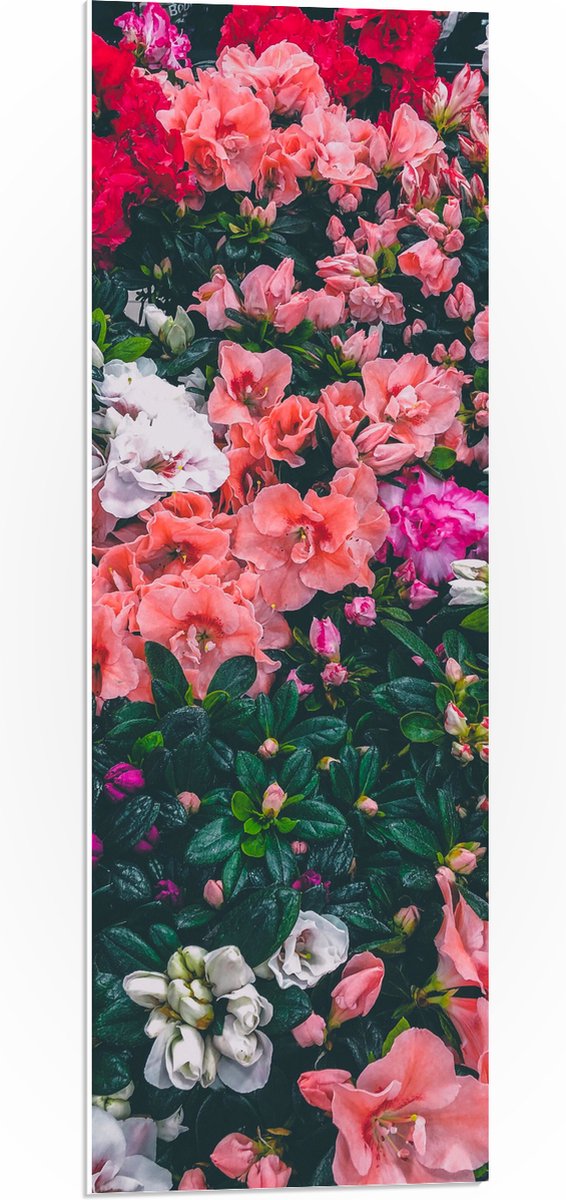 WallClassics - PVC Schuimplaat - Bloemenstruik met Verschillende Roze Bloemen - 30x90 cm Foto op PVC Schuimplaat (Met Ophangsysteem)
