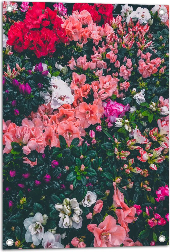 WallClassics - Tuinposter – Bloemenstruik met Verschillende Roze Bloemen - 50x75 cm Foto op Tuinposter  (wanddecoratie voor buiten en binnen)