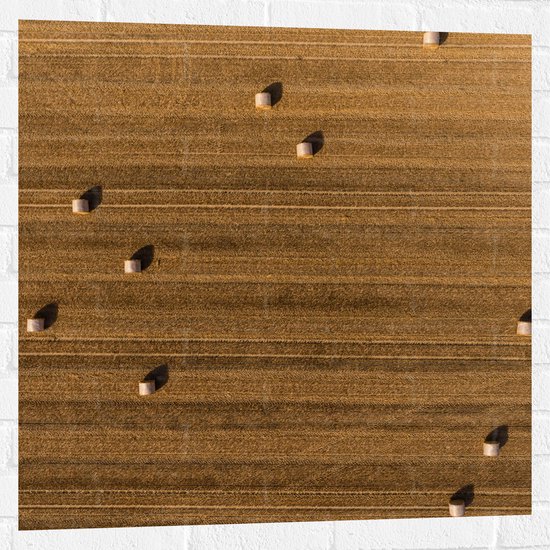 WallClassics - Muursticker - Bovenaanzicht van Hooibalen op Landbouwgrond - 80x80 cm Foto op Muursticker