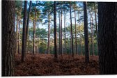WallClassics - Dibond - Bruin Bos - 75x50 cm Foto op Aluminium (Wanddecoratie van metaal)