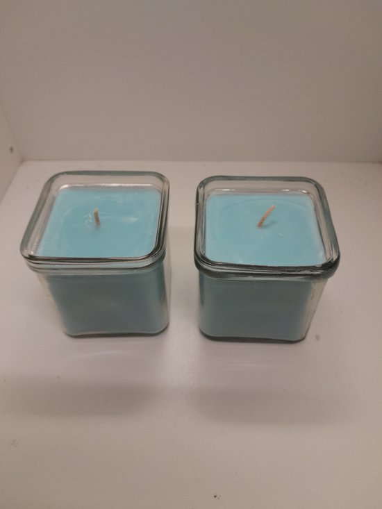 Geurkaars Ted Sparks Moss & Sandalwood | Stijlvol in Huis Geurkaars Ted Sparks Moss & Sandalwood | Stijlvol in Huis